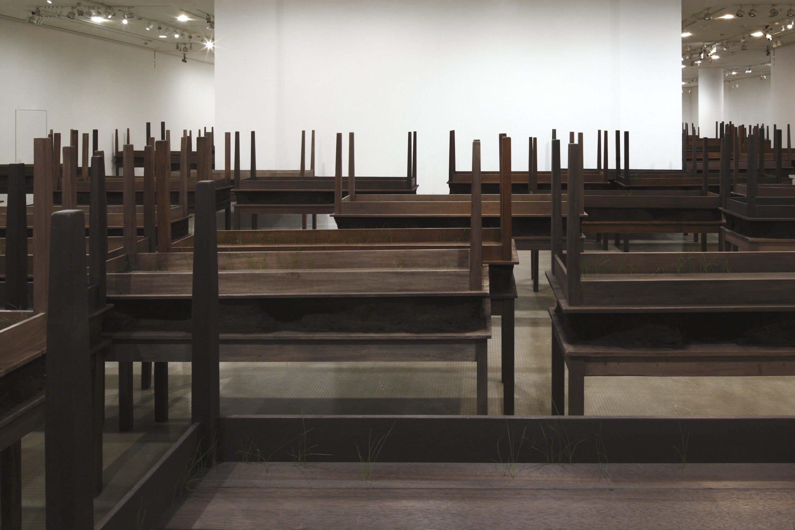Doris Salcedo ドリス サルセド Contemporary 作品集 DORIS SALCEDO：ドリス・サルセドの販売・通販 | OIL