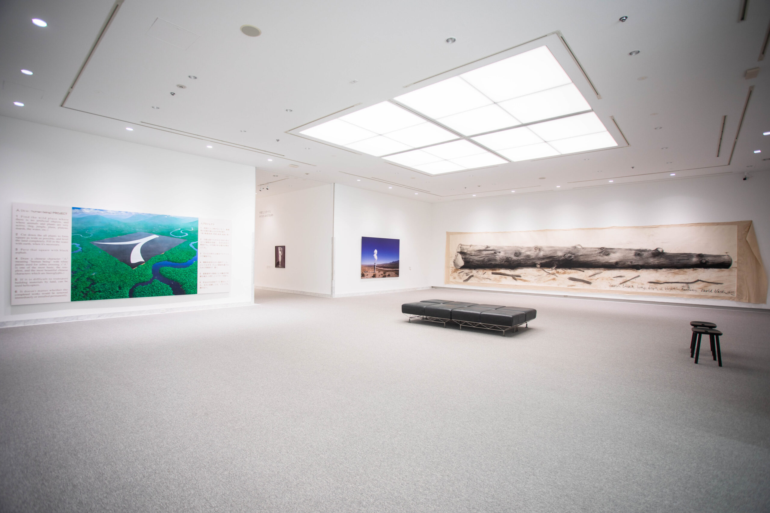 コレクション展2024-Ⅰ ハイライト＋ リレーションズ［ゲスト